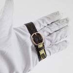 Patek Philippe Golden Ellipse 3738/100 (2007) - Brown dial 32 mm Yellow Gold case (7/8)