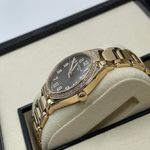 Patek Philippe Twenty~4 7300/1200R-001 (2026) - Brown dial 36 mm Rose Gold case (5/10)