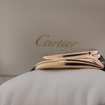 Cartier Clé de Cartier WGCL0004 (2016) - Zilver wijzerplaat 40mm Roségoud (3/8)
