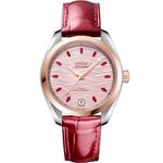 Omega Seamaster Aqua Terra 220.23.34.20.60.001 - (1/1)