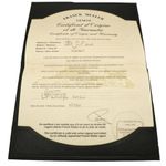 Franck Muller Cintrée Curvex 2852SC D - (6/7)