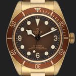 Tudor Black Bay Bronze 79012M (2021) - Brown dial 39 mm Bronze case (2/8)