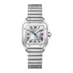 Cartier Santos WSSA0082 - (1/12)
