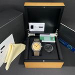 Panerai Radiomir PAM00931 (2020) - Bruin wijzerplaat 47mm Staal (2/8)