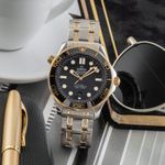 Omega Seamaster Diver 300 M 210.20.42.20.01.002 (2022) - Black dial 42 mm Steel case (1/8)