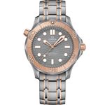 Omega Seamaster Diver 300 M 210.60.42.20.99.001 - (1/1)