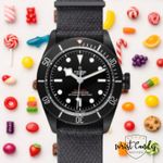 Tudor Black Bay Dark 79230DK - (1/8)