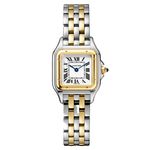 Cartier Panthère W2PN0013 (2026) - 30mm Goud/Staal (1/1)