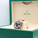 Rolex Daytona 116515LN (2016) - Zilver wijzerplaat 40mm Roségoud (3/8)