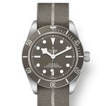 Tudor Black Bay Fifty-Eight 79010SG (2024) - Grijs wijzerplaat 39mm Zilver (1/1)