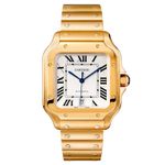 Cartier Santos WGSA0029 - (1/1)