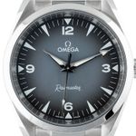 Omega Seamaster Railmaster 235.10.38.20.06.001 - (2/7)