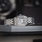 Cartier Panthère WSPN0013 (2025) - Silver dial 23 mm Steel case (1/7)