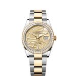 Rolex Datejust 36 126283RBR (2023) - Gold dial 36 mm Steel case (1/1)