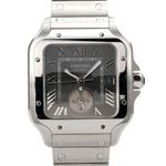 Cartier Santos WSSA0076 - (1/8)