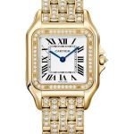 Cartier Panthère WJPN0060 (2026) - Zilver wijzerplaat 37mm Geelgoud (1/1)