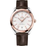 Omega Seamaster Aqua Terra 220.23.41.21.02.001 - (1/1)