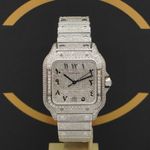 Cartier Santos WSSA0018 - (1/7)