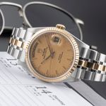 Tudor Prince Date 76213 - (2/8)