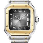 Cartier Santos W2SA0030 (2026) - Grey dial 39 mm Gold/Steel case (1/1)