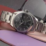 Omega Seamaster Aqua Terra 231.10.30.61.06.001 (Unknown (random serial)) - Grey dial 30 mm Steel case (2/8)