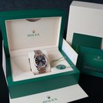 Rolex Datejust 36 126231 - (8/8)