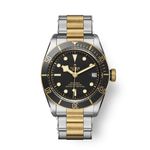 Tudor Black Bay S&G 79733N - (1/1)
