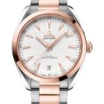 Omega Seamaster Aqua Terra 220.20.41.21.02.001 (2026) - Zilver wijzerplaat 41mm Staal (1/1)