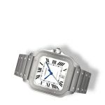 Cartier Santos 100 WSSA0006 - (5/6)