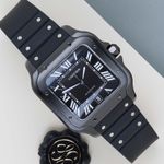 Cartier Santos WSSA0039 - (1/8)