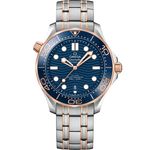 Omega Seamaster Diver 300 M 210.20.42.20.03.002 - (1/1)