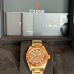 Tudor Black Bay Bronze 79012M - (1/8)