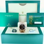 Rolex Day-Date 40 228235 (2024) - Brown dial 40 mm Rose Gold case (4/6)