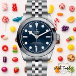 Tudor Black Bay 79600 - (1/8)