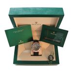 Rolex Sky-Dweller 336235 - (4/4)