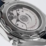 Omega Seamaster Diver 300 M 210.32.42.20.06.001 (2018) - Grey dial 42 mm Steel case (4/6)