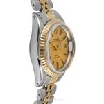 Tudor Prince Date 92413 - (6/8)