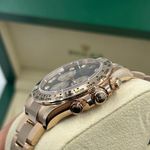 Rolex Daytona 126505 - (9/10)
