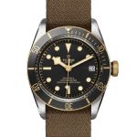 Tudor Black Bay S&G 79733N - (1/1)