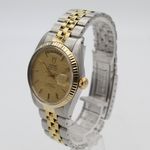 Tudor Prince Date Day 94613 - (2/8)