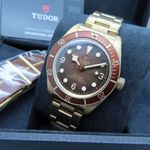 Tudor Black Bay Bronze 79012M (2023) - Bruin wijzerplaat 39mm Brons (3/8)