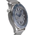 Omega Seamaster Diver 300 M 210.32.42.20.06.001 (Onbekend (willekeurig serienummer)) - Grijs wijzerplaat 42mm Staal (7/8)