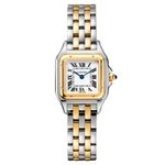 Cartier Panthère W2PN0006 (2024) - Silver dial 30 mm Gold/Steel case (1/1)