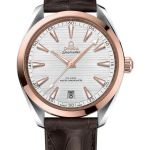 Omega Seamaster Aqua Terra 220.23.41.21.02.001 (2026) - Zilver wijzerplaat 41mm Staal (1/1)