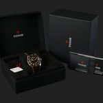 Tudor Black Bay S&G 79733N - (8/8)