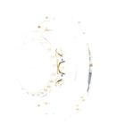 Rolex Daytona 116523 - (2/4)