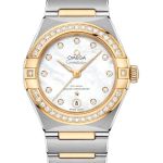 Omega Constellation 131.25.29.20.55.002 (2026) - Pearl dial 29 mm Steel case (1/1)