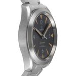 Omega Seamaster Railmaster 220.10.40.20.01.001 - (7/8)