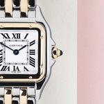 Cartier Panthère W2PN0006 (2024) - White dial 30 mm Gold/Steel case (5/8)