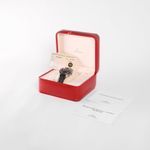 Omega Speedmaster Date 3813.53.26 - (3/3)